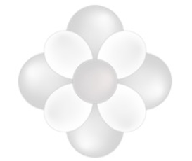 Plafond Decoratie